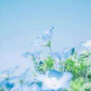 ヒメ日記 2026/04/25 16:46 投稿 リノ ラブコレクション