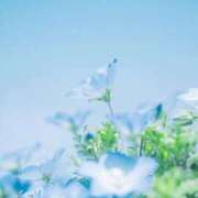 ヒメ日記 2026/05/05 06:31 投稿 リノ ラブコレクション