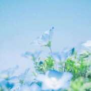 ヒメ日記 2026/05/06 06:31 投稿 リノ ラブコレクション