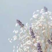 ヒメ日記 2026/06/17 06:16 投稿 リノ ラブコレクション
