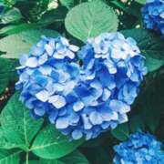 えり ありがとうございます☺️ 佐世保人妻デリヘル「デリ夫人」