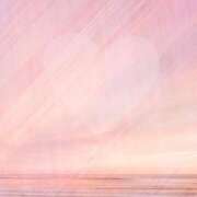 ヒメ日記 2025/02/19 17:32 投稿 田代美兎 Matriarch(マトリアルカ)