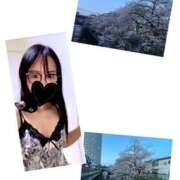 ヒメ日記 2025/04/11 19:52 投稿 田代美兎 Matriarch(マトリアルカ)