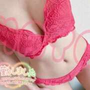 ヒメ日記 2026/04/18 17:05 投稿 まよ ぺろぺろベロベロ専科 ぺろんちょ