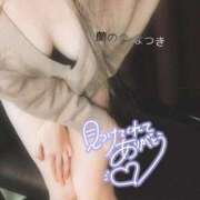 ヒメ日記 2026/01/26 20:08 投稿 なつき 渋谷蘭の会