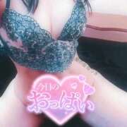 ヒメ日記 2026/02/18 07:45 投稿 なつき 渋谷蘭の会