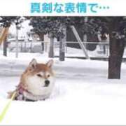 ヒメ日記 2025/03/06 09:13 投稿 みう 熟女の風俗最終章 新宿店