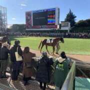 ヒメ日記 2024/12/14 19:02 投稿 みう 熟女の風俗最終章 池袋店