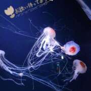 ヒメ日記 2025/09/26 17:32 投稿 ふゆゆ 新宿サンキュー