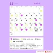 ヒメ日記 2025/11/08 14:22 投稿 ふゆゆ 新宿サンキュー