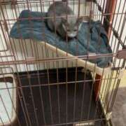 ヒメ日記 2025/12/28 17:15 投稿 つぐみ ハピネス＆ドリーム 松山道後温泉