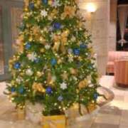 ヒメ日記 2024/12/12 07:43 投稿 あさみ 奥鉄オクテツ兵庫