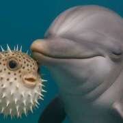 ヒメ日記 2025/04/27 20:18 投稿 桜井 モアグループ大宮人妻花壇