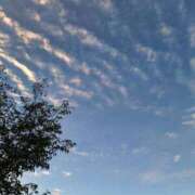 ヒメ日記 2025/11/11 07:48 投稿 桜井 モアグループ大宮人妻花壇