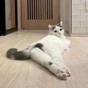 ヒメ日記 2025/06/03 22:18 投稿 桜井 モアグループ春日部人妻城