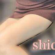 ヒメ日記 2025/10/11 17:26 投稿 しおん かりんと赤坂