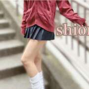 ヒメ日記 2026/03/19 00:58 投稿 しおん かりんと赤坂