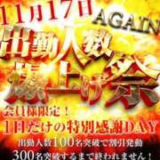 ヒメ日記 2025/11/15 12:12 投稿 あさみ 奥鉄オクテツ奈良