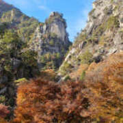 ヒメ日記 2025/11/27 13:31 投稿 あさみ 奥鉄オクテツ奈良