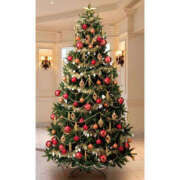 ヒメ日記 2025/12/21 11:18 投稿 あさみ 奥鉄オクテツ奈良