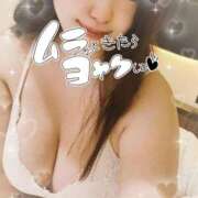 ヒメ日記 2025/09/18 16:52 投稿 ねね 錦糸町ちゃんこ