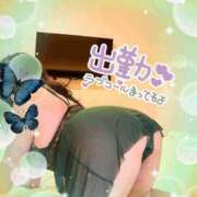ヒメ日記 2026/05/06 12:32 投稿 ねね 錦糸町ちゃんこ