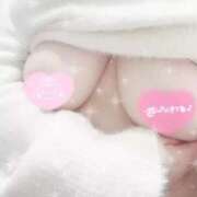 なほ なほ（奥様さくら京橋店） 奥さまさくら京橋店