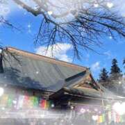 ヒメ日記 2025/01/02 14:18 投稿 さりな 宮城大崎古川ちゃんこ