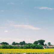 ヒメ日記 2025/07/18 01:11 投稿 みこ 横浜アロマプリンセス（ユメオト）