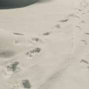 ヒメ日記 2025/09/04 00:16 投稿 みこ 横浜アロマプリンセス（ユメオト）