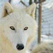 ヒメ日記 2025/01/16 09:20 投稿 ちあき★神に選ばれし美貌 RASTA（ラスタ）