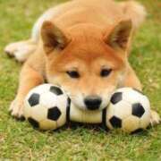 ヒメ日記 2025/03/20 18:33 投稿 ちあき★神に選ばれし美貌 RASTA（ラスタ）