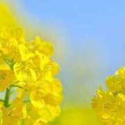 ヒメ日記 2025/04/17 08:50 投稿 ちあき★神に選ばれし美貌 RASTA（ラスタ）