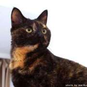 ヒメ日記 2025/06/05 09:01 投稿 ちあき★神に選ばれし美貌 RASTA（ラスタ）