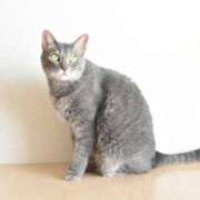 ヒメ日記 2025/06/12 09:04 投稿 ちあき★神に選ばれし美貌 RASTA（ラスタ）