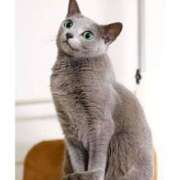 ヒメ日記 2025/06/26 08:50 投稿 ちあき★神に選ばれし美貌 RASTA（ラスタ）