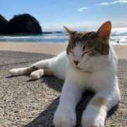 ヒメ日記 2025/07/03 08:50 投稿 ちあき★神に選ばれし美貌 RASTA（ラスタ）