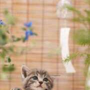 ヒメ日記 2025/07/03 09:10 投稿 ちあき★神に選ばれし美貌 RASTA（ラスタ）