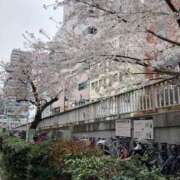 ヒメ日記 2025/04/04 10:51 投稿 つかさ 熟女デリヘル倶楽部