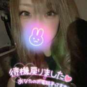 ヒメ日記 2025/03/20 23:33 投稿 すず 八尾藤井寺羽曳野ちゃんこ