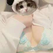 ヒメ日記 2025/12/30 17:03 投稿 ヒナ【FG系列】 デリぽちゃin松戸（FG系列）