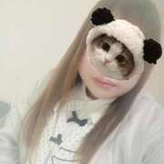 ヒナ【FG系列】 出勤? デリぽちゃin松戸（FG系列）