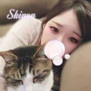 ヒメ日記 2025/02/19 20:52 投稿 黒崎 しのん やみつきエステ 渋谷店