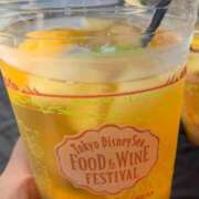 ヒメ日記 2025/06/28 21:42 投稿 新高すみれ 大阪ぽっちゃり妻