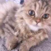 ヒメ日記 2025/11/10 18:47 投稿 にこ 池袋S級素人派遣型東京美少女物語