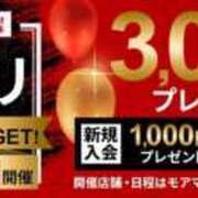 ヒメ日記 2024/11/28 09:30 投稿 みちる モアグループ南越谷人妻花壇