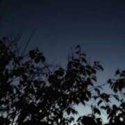 ヒメ日記 2024/12/12 19:33 投稿 みちる モアグループ南越谷人妻花壇