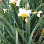 ヒメ日記 2025/01/07 17:15 投稿 みちる モアグループ南越谷人妻花壇