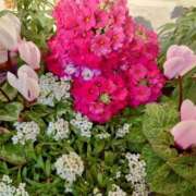 ヒメ日記 2025/01/21 20:28 投稿 みちる モアグループ南越谷人妻花壇