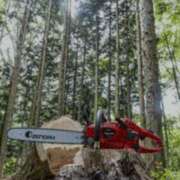 ヒメ日記 2025/01/22 19:03 投稿 みちる モアグループ南越谷人妻花壇